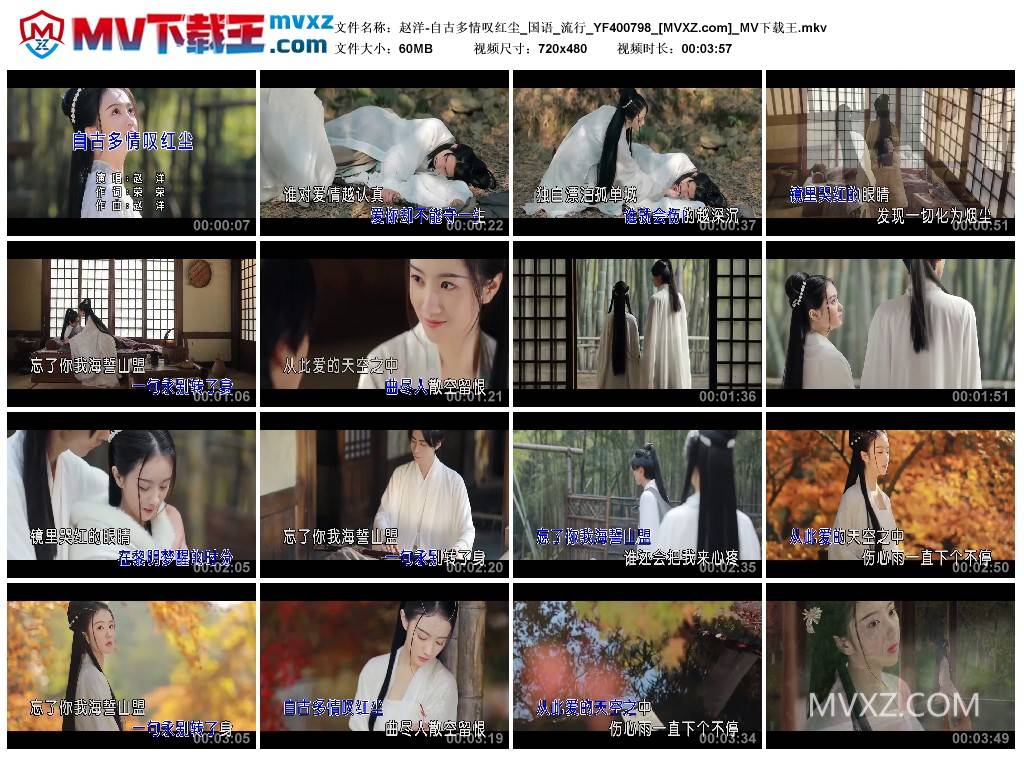 赵洋-自古多情叹红尘_国语_流行_YF400798